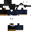 Texture for pingu