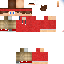 Texture for ds