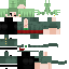 Texture for zoro