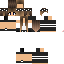 Texture for FDP
