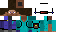 Texture for Scanner