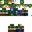 Texture for Link