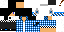 Texture for Maxim