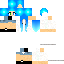 Texture for ImPreDex