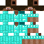 Texture for yae212