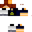 Texture for MineDub_Link