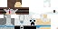 Texture for SkyShan16 Fixed