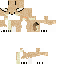 Texture for fennec fox
