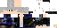 Texture for Hawk