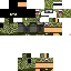 Texture for dsdxs