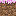 Texture for Candy floss grass
