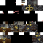 Texture for Dark Crusader