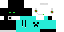 Texture for caxa2221