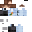 Texture for parrotshirttest