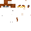 Texture for Wip