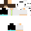 Texture for homer4000
