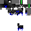 Texture for ds