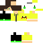 Texture for gt