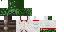 Texture for Test
