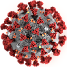 Texture for Coronavirus Block