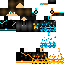 Texture for risam1203