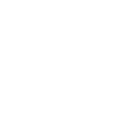 Texture for unicode_page_fc