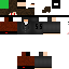 Texture for Mesterkocka55