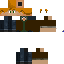 Texture for regular skin