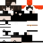 Texture for naib4568