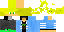 Texture for grassblock