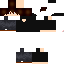 Texture for Springhouls