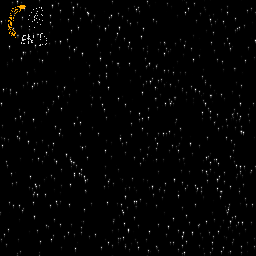 Texture for nova