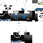 Texture for Steve