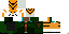 Texture for tygra