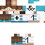 Texture for BombCrafter013