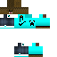 Texture for ss