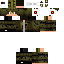 Texture for  springter 64