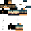 Texture for DnS-LoGan