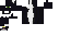 Texture for maxwell