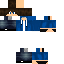 Texture for fox game