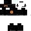 Texture for ninja