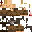 Texture for sdfs