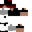 Texture for MainA