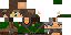 Texture for Strider 