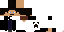 Texture for SuperMarkk