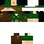 Texture for robin hood gamer