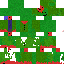 Texture for The Melonator