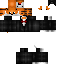 Texture for pansux  dd