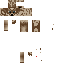 Texture for Deer Head Testing