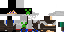 Texture for sam